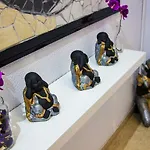 Nine Senses פוראדורו