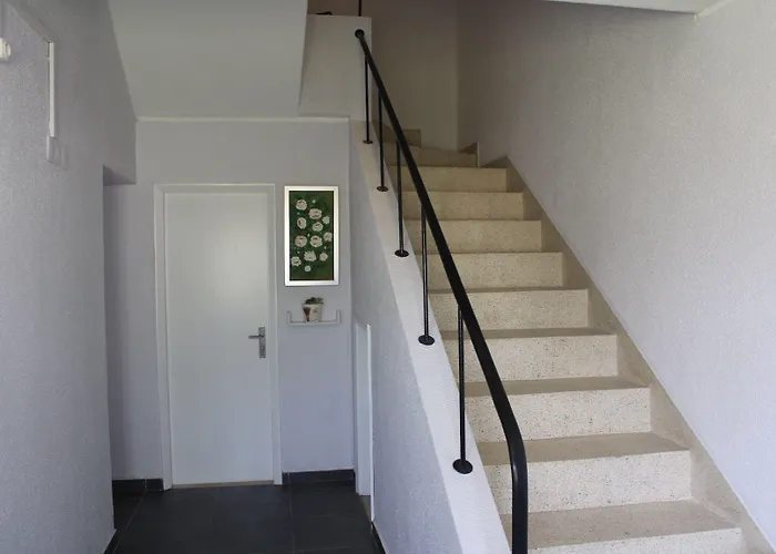 Nine Senses Фурадору